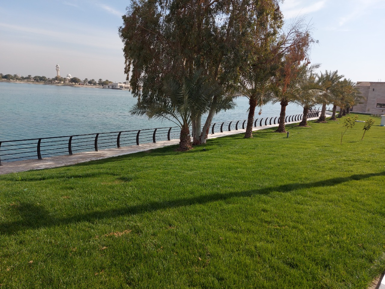 Jenbli Company is proud to announce its latest partnership with the American University of Iraq - Baghdad (AUIB)