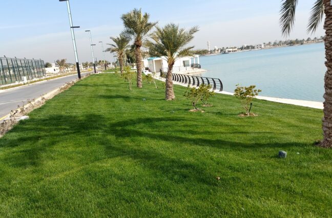 Jenbli Company is proud to announce its latest partnership with the American University of Iraq - Baghdad (AUIB)