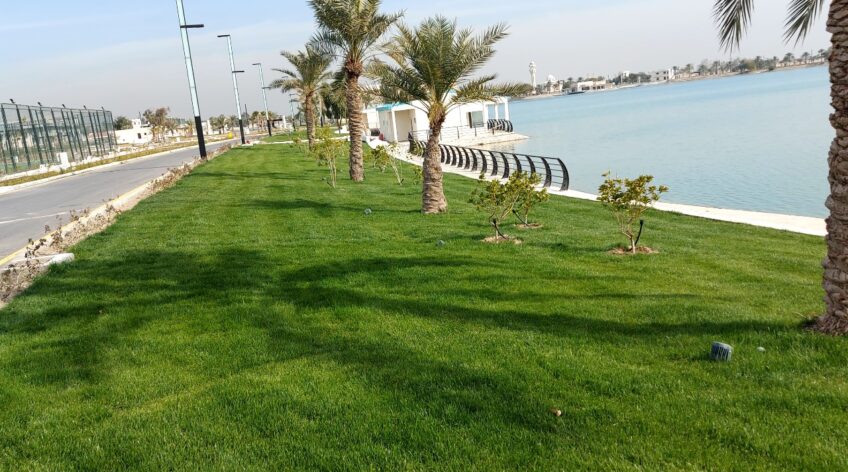 Jenbli Company is proud to announce its latest partnership with the American University of Iraq - Baghdad (AUIB)