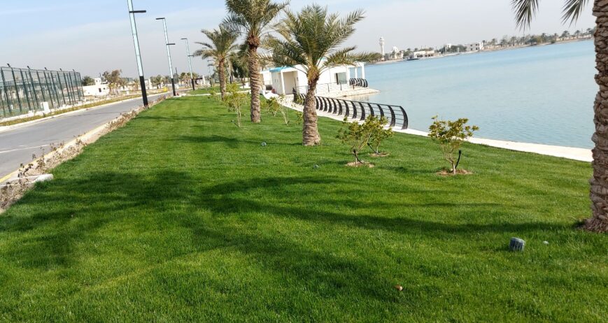 Jenbli Company is proud to announce its latest partnership with the American University of Iraq - Baghdad (AUIB)