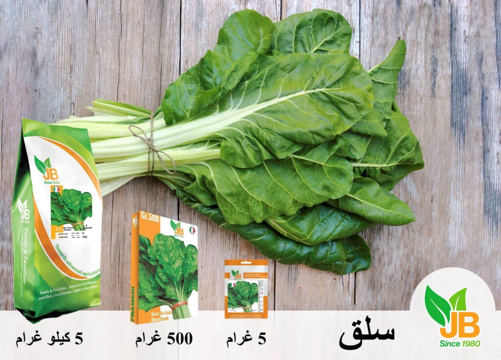 Swiss chard