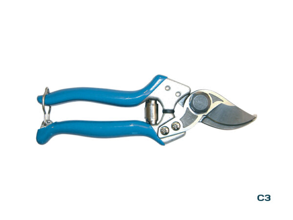 C3 Shear