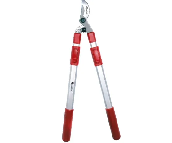 CH-81 Shear