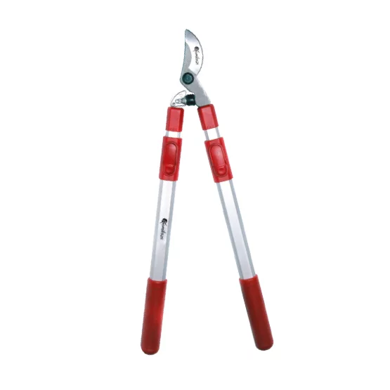CH-81 Shear