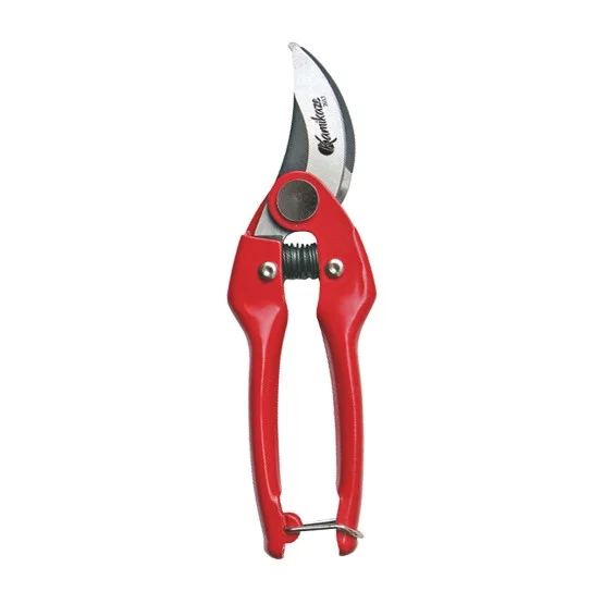 KM-22 Shear