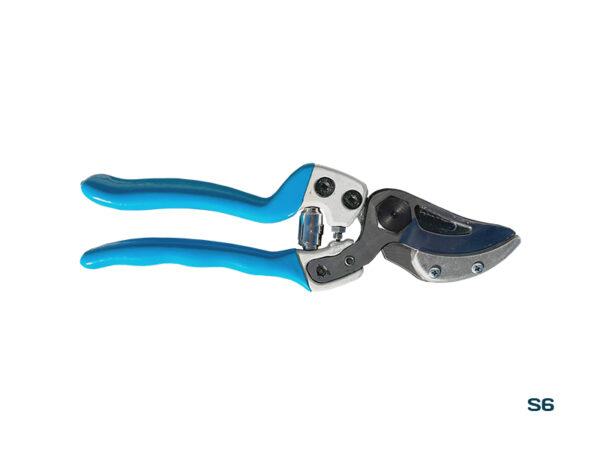 C6 Shear