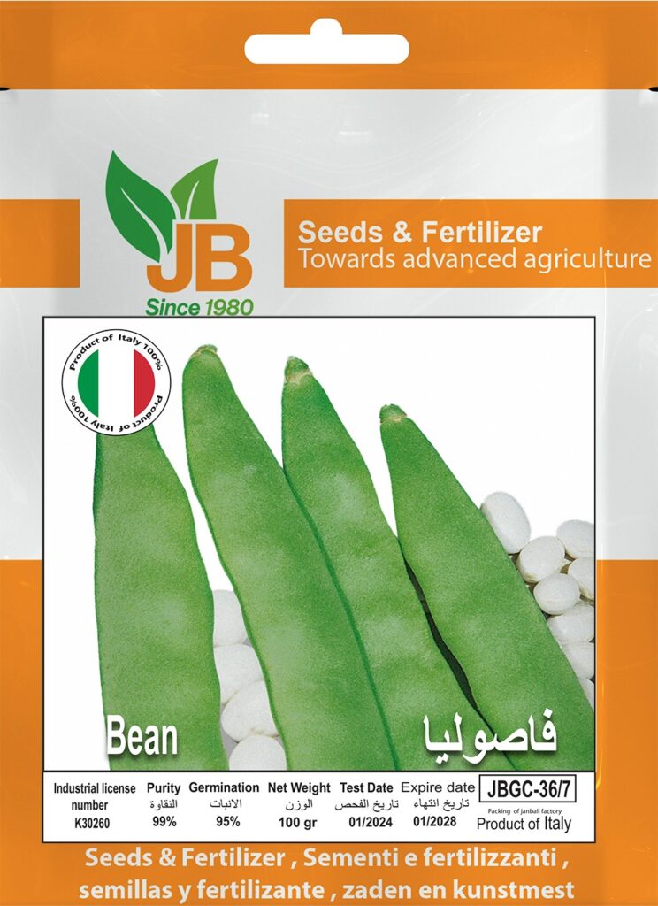 Bean