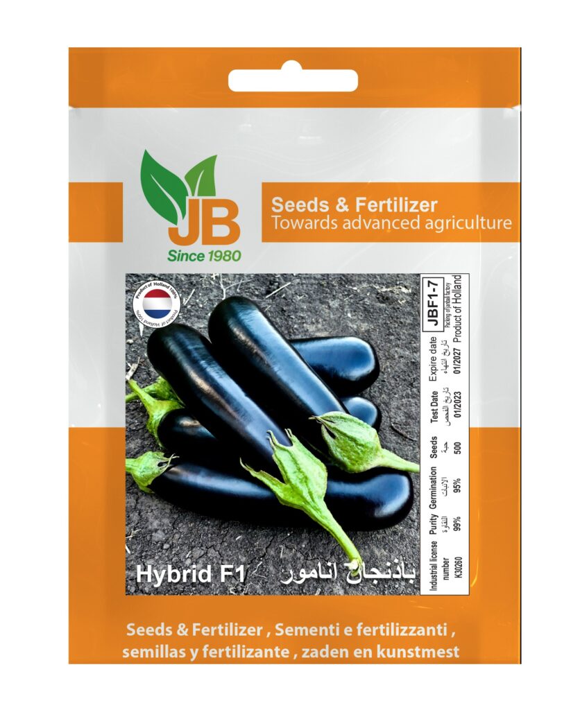 Eggplant Anamor F1