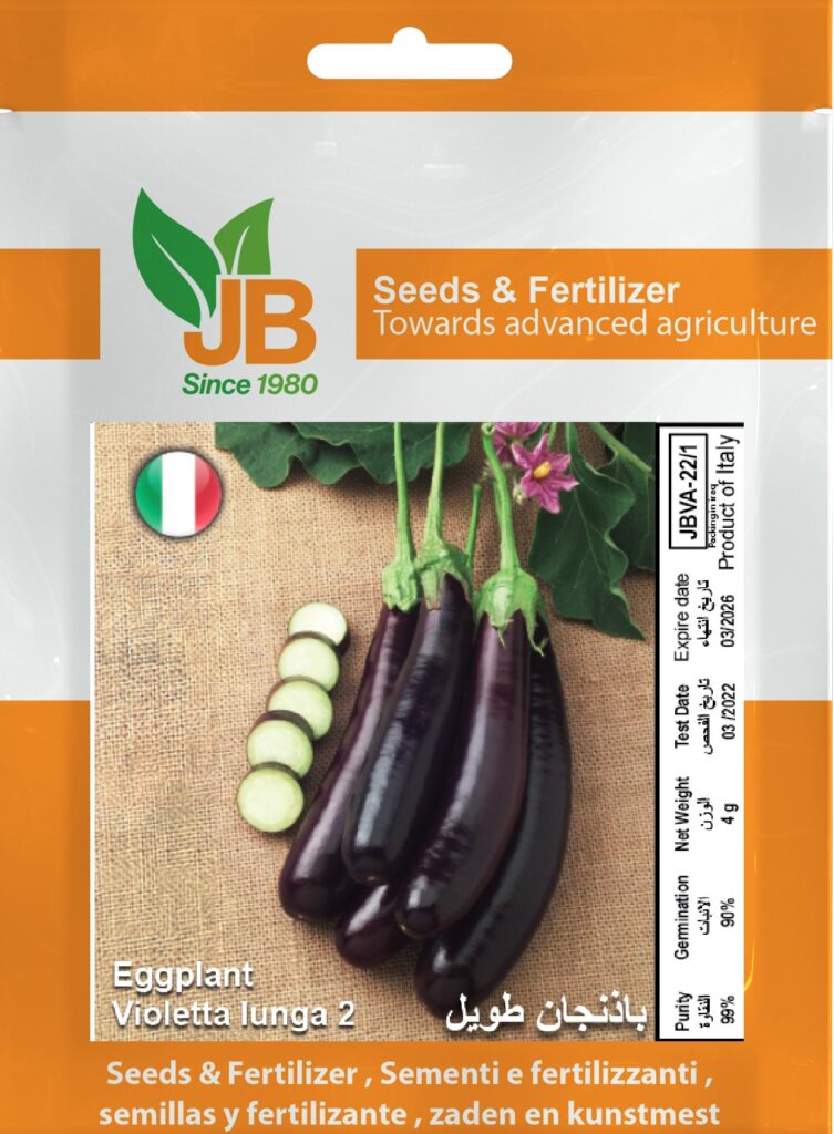 Eggplant Lunga