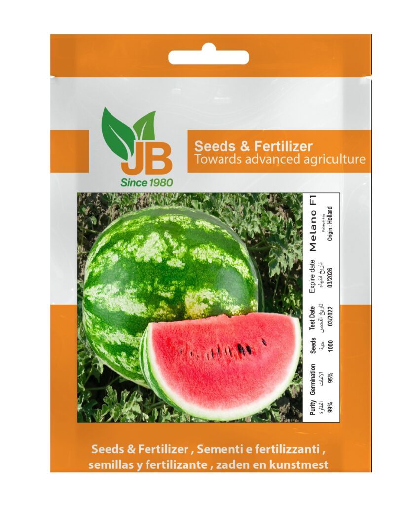 Watermelon Melano F1