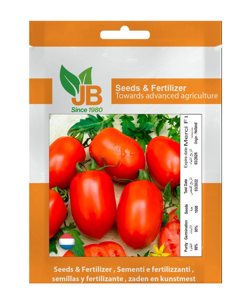Tomatto Merci F1