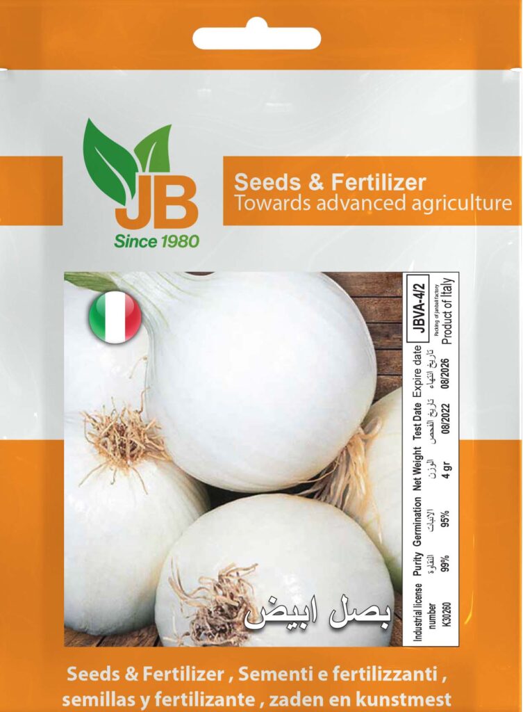 White Onion
