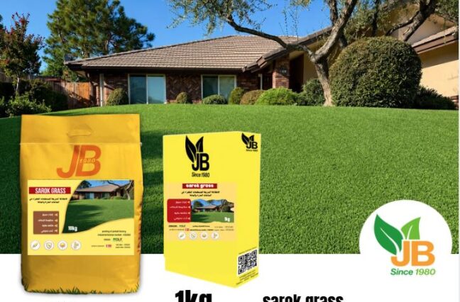 sarok grass